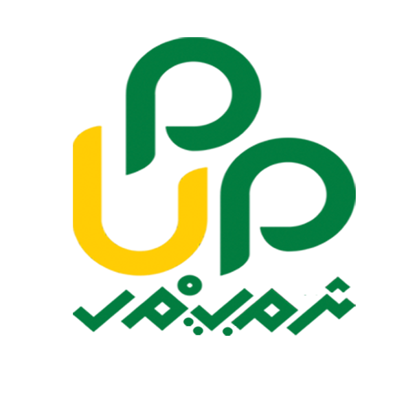 Universitas Pat Petulai